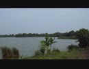 老後はタイの湖に浮ぶ水上ハウスで年金暮らし