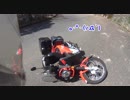 【Ninja1000】河津桜を見に行ってきた【クロスカブ】