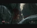 【SEKIRO】復讐を果たし巧みに殺す隻腕の狼【実況】part20(ジラフ撃破)