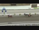 2019年3月27日高知競馬7R 佐吉カウンターズ協賛 高橋靖退職記念特別(C2-4組) ティーエスバラ
