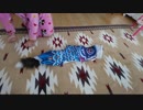 人魚？猫？猫魚？