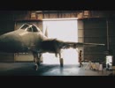 ワンダー民が還りたい空を求めて・・・8日目
