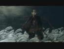 ホモと見る弦一郎殿(解説あり).sekiro