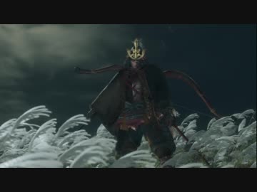 ホモと見る弦一郎殿(解説あり).sekiro