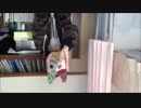 踊るウサギうさぎ