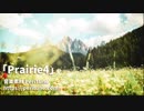 【無料フリーBGM】疾走感のあるケルト曲「Prairie4」