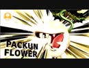 【大乱闘スマッシュブラザーズSPECIAL】パックンフラワーで目指せ！VIP入り　Part19