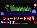 [Terraria+MOD]　ショートソード縛りEX パート１２　[ゆっくり実況]