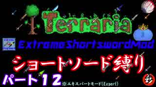 [Terraria+MOD]　ショートソード縛りEX パート１２　[ゆっくり実況]