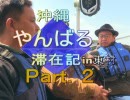 【特番】2/3 「沖縄やんばる滞在記」～ 東村編 ”　東村つつじ祭り・福地ダム　遊覧船”[桜H31/3/29]