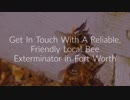 OCP Bee Exterminator in Fort Worth, TX