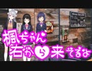 「楓ちゃん、右から来てるよ」「フゥー…」