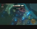 【ゼル伝BotW】100年の眠りから目覚めた勇者の冒険５４【もちまる】