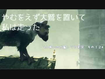 【君と紡ぐ神話】人喰いの大鷲トリコ実況してみました【その１２】
