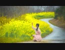 【tetote】ハルイチ。【踊ってみた】