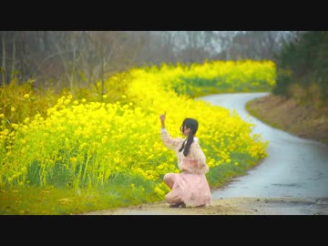 【tetote】ハルイチ。【踊ってみた】