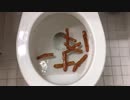 バーガーキングのチキンフライをトイレに流してみた