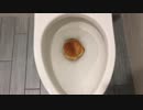 バーガーキングのチキンサンドをトイレに流してみた
