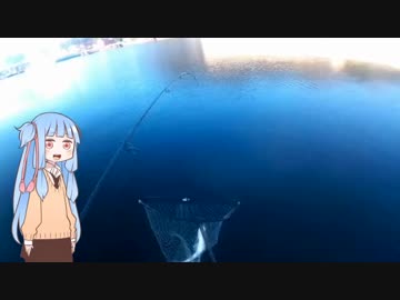 琴葉釣道中　其の１　秋の早朝シーバス　【VOICEROIDフィッシング】