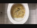 バーガーキングのフライドポテトをトイレに流してみた