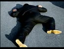 街中が苦手な若者(？)が街～運命の交差点～を実況プレイ　Part9