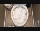 雪をトイレに流してみた
