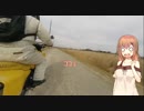 【Insta360】新しい車載用カメラ買ってきたよ！【さとうささら】