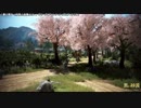 【生海月】なまくらじお【2019.3.30】