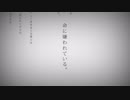 【必死に】　命に嫌われている。　歌ってみた　【りのぁ】