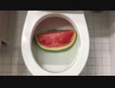 スイカをトイレに流してみた２