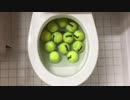 テニスボールをトイレに流してみた