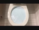 スライムをトイレに流してみた２