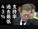 「韓国経済は生産、消費、投資、全て好調！」と発表後全く逆の結果が出てしまった文在寅大統領の支持率が43%に下落してて草