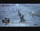 【実況】奇跡のダークソウル3 part37