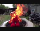 ホモと見る焼死