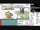 【YTL】うんこちゃん『ポケモンRSE　金ダツラ』part24【2019/03/24】