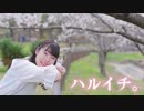 【ひな】ハルイチ。【踊ってみた】