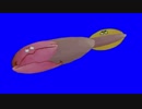 パップラドンスピスBB