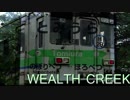 WEALTH CREEK