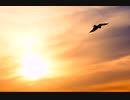 【初音ミク】空と大地【オリジナル曲】