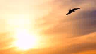 【初音ミク】空と大地【オリジナル曲】