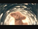 ナイティナイト／とわ【歌ってみた】