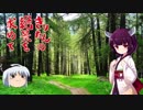 きりたんの絶景を求めて～スイス旅行記 第22話ースネガハイキング