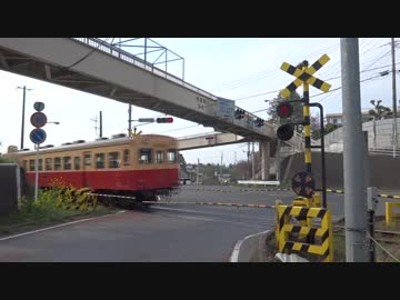 [貴重な古い小田急タイプ] 小湊鉄道線牛久踏切
