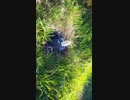VID_20190317_162159