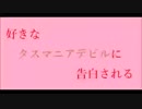 ウサギの占いにあなたもチャレンジ！