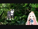 町田ちま　もののけ姫