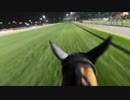 【ルメール騎手目線】アーモンドアイ追い切り in ドバイターフ