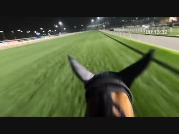 【ルメール騎手目線】アーモンドアイ追い切り in ドバイターフ