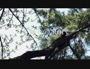 名無しのStory／ feat.初音ミク